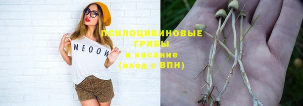 МДПВ Арсеньев