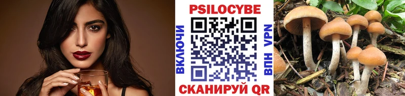 Псилоцибиновые грибы GOLDEN TEACHER  как найти   Талица 